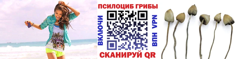 Псилоцибиновые грибы мухоморы  Тутаев 